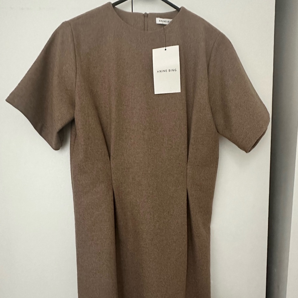 Anine Bing Brown Mini Dress